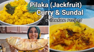 Srilankan Pilaka curry & pilaka sundal / Naveenass Tiny Tips/ Srilankan food recipes in tamil