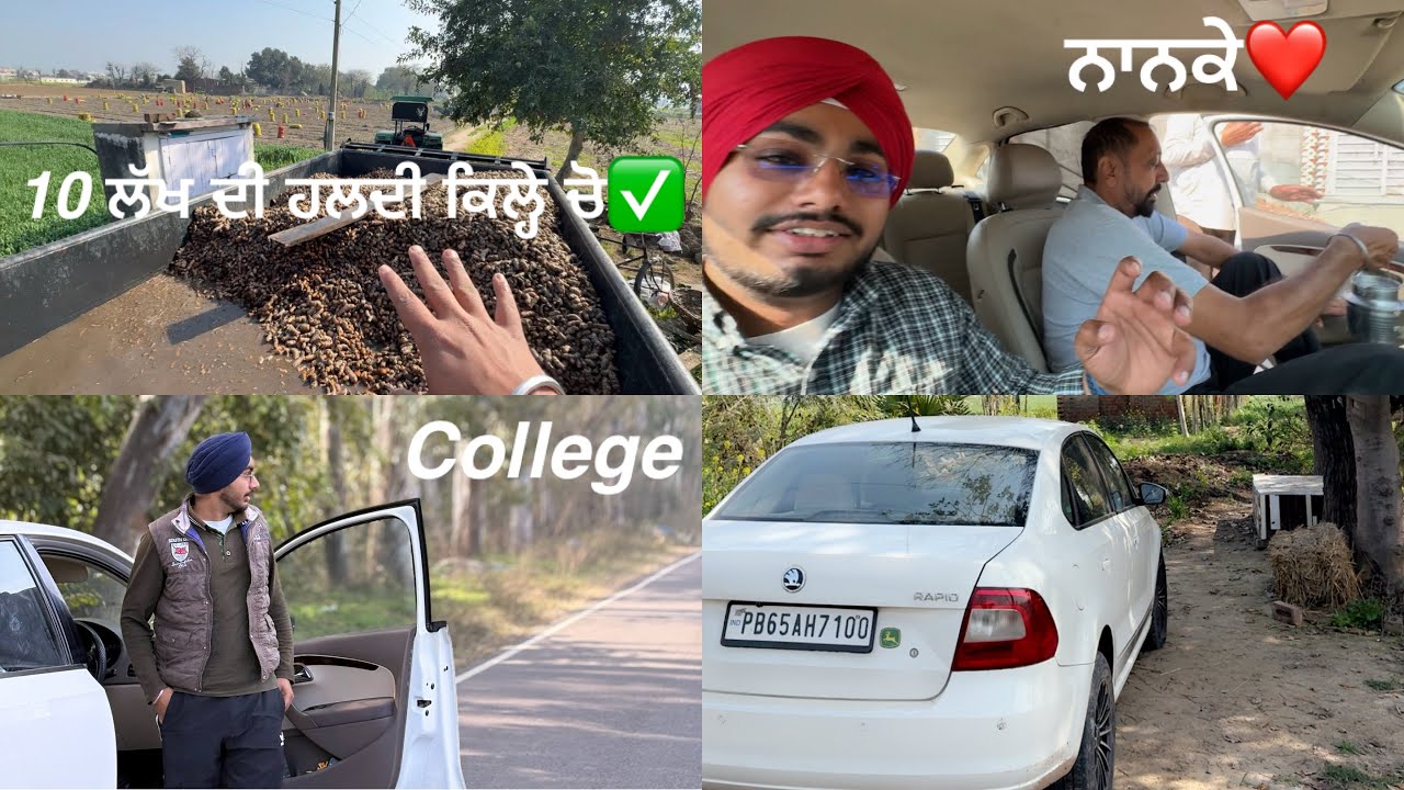 10 ਲੱਖ ਦੀ ਹਲਦੀ ਕਿਲ੍ਹੇ ਚੋ ਦੇਖੋ ਕਿਵੇ ਨਿਕਲ ਦੀ ਆ✅