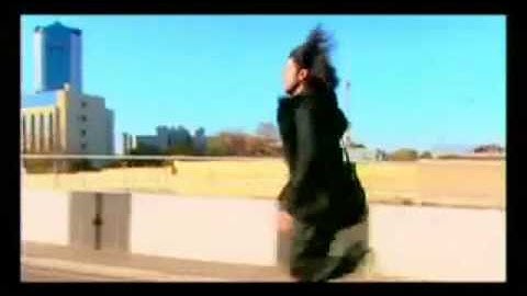 www clipland ru Dj piligrim 2009 H 264 DVDRip