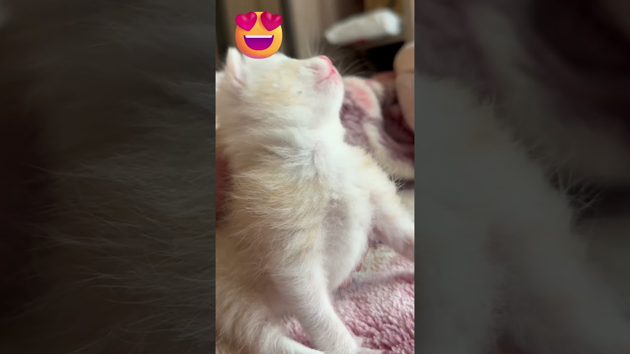 Reaction On Emoji😜  