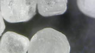 sugar under microscope