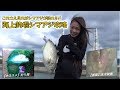 #釣り堀　海上釣堀　シマアジ徹底攻略！！　水中映像 説明欄見て下さい　これさえ見ればシマアジが釣れる！！ビッグキャッチ！！