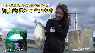 #釣り堀　海上釣堀　シマアジ徹底攻略！！　水中映像 説明欄見て下さい　これさえ見ればシマアジが釣れる！！ビッグキャッチ！！