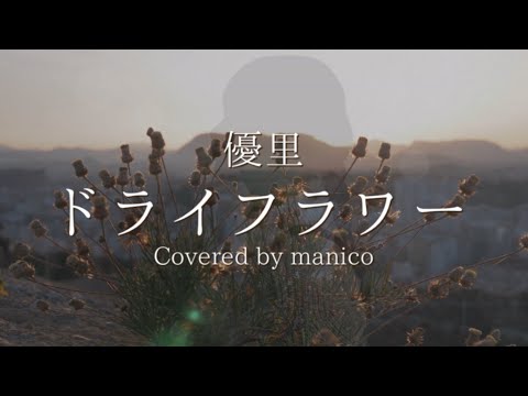 【高校生が歌ってみた】ドライフラワー / 優里