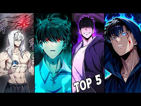 Top 5 Best
