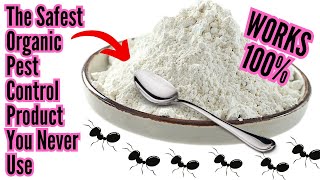 The Best Organic Pest Control Product For Your Garden That Few People Use Or Even Know About