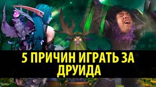 5 Причин играть за Друида в World of Warcraft