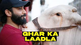 Laadla Hai Magar Shareef Nahi | Qurbani Aik Ehsass | Cattle Stories | Ep. 07