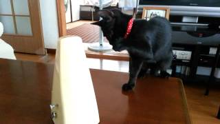 メトロノームvsさくらさん