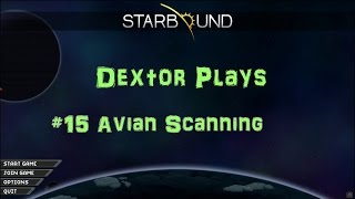 StarBound 15 Avian Scanning