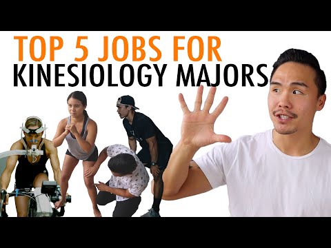 Top Jobs for Kinesiology Majors (5 HIGH PAYING JOBS)