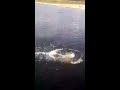 Download Прыжок в воду с крыши Прыжок в воду с крыши