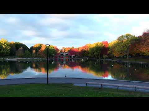 Free Nature Video