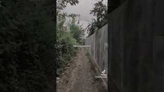 Elgün Ibrahimov Üçün Susmayaq Xaiş Edirəm Unutmuyun