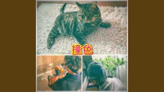 撞色 (feat. CheukLung & Timnawty)