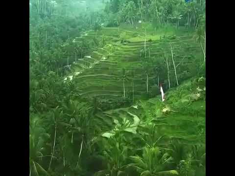 ivo nilakrisma - kisah cinta (1957) (ibunda dari astri ivo)