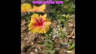 શાળા બાગની મુલાકાત?????