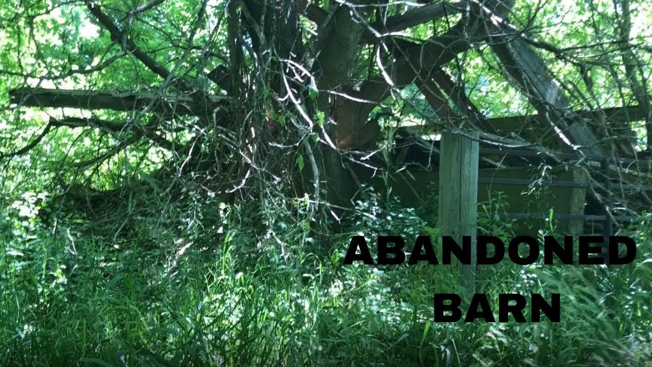 EXPLORING AN ABANDONED BARN! - YouTube