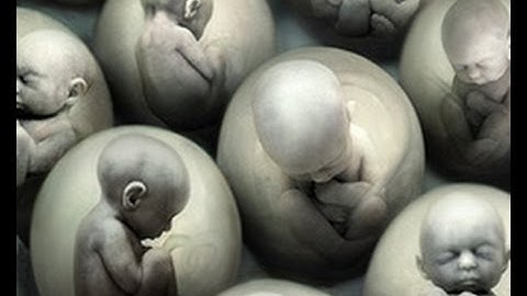 Brave New World (Privacy)