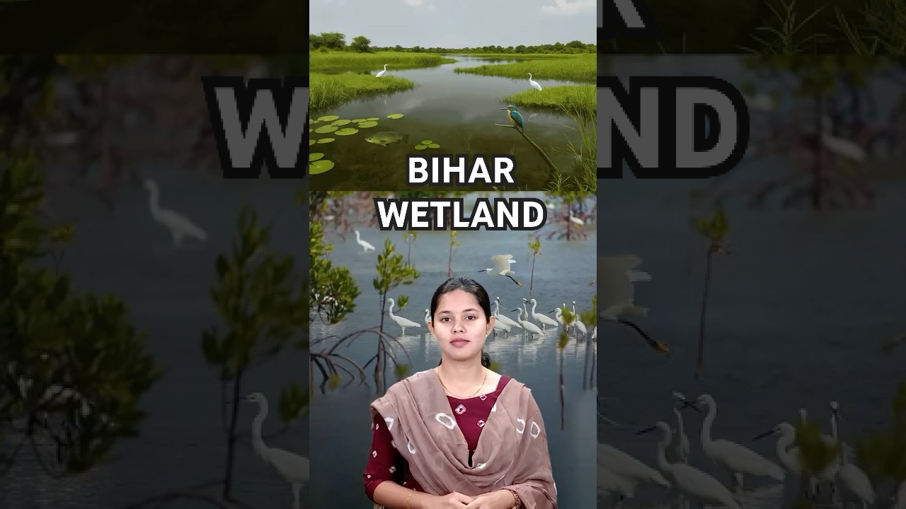 Водно-болотные угодья Бихара