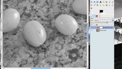 Gimp Tutorial - Smart Scissors