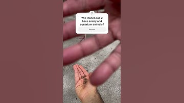 11 days before going back to America! Planet Zoo 2 got aviary and aquarium animals!