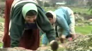 The Tamahu Exposure And History Part 3