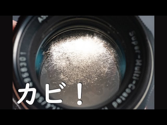 Old Lens Review] Sankyo Koki KOMURA 135mm F2.8 - YouTube