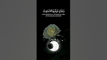 الحمد الله🤍#قران #تلاوة_خاشعة #اكسبلور #اكتب_شي_توجر_عليه #capcut #foryou #fyp #explore