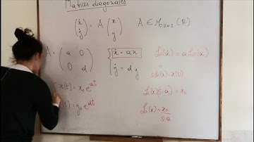 Matrices diagonales I: solución general
