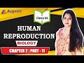Science  biology human reproduction  part11  class  12   augastu learning