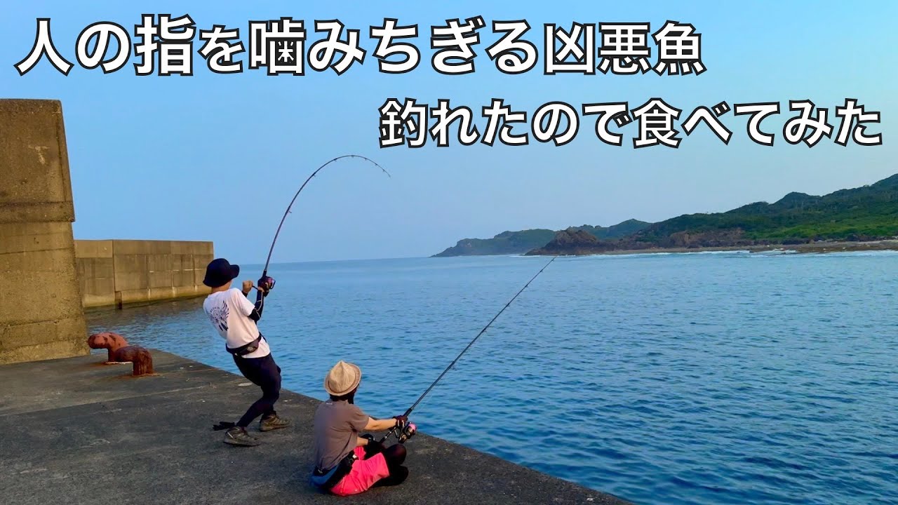 大物ぶっこみ釣りで釣れた凶悪魚を食べてみたら驚くほど美味しかった
