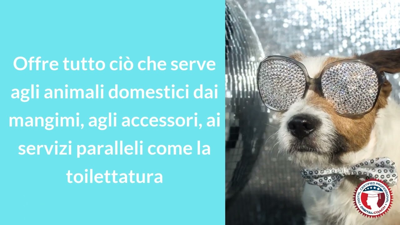 Zooplanet: l’azienda specialista del Pet che approda all’online