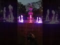 Video Image