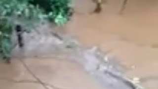 Banjir Ranca Pandan Mekarjaya Cikajang Garut Kamis 2 April 2020