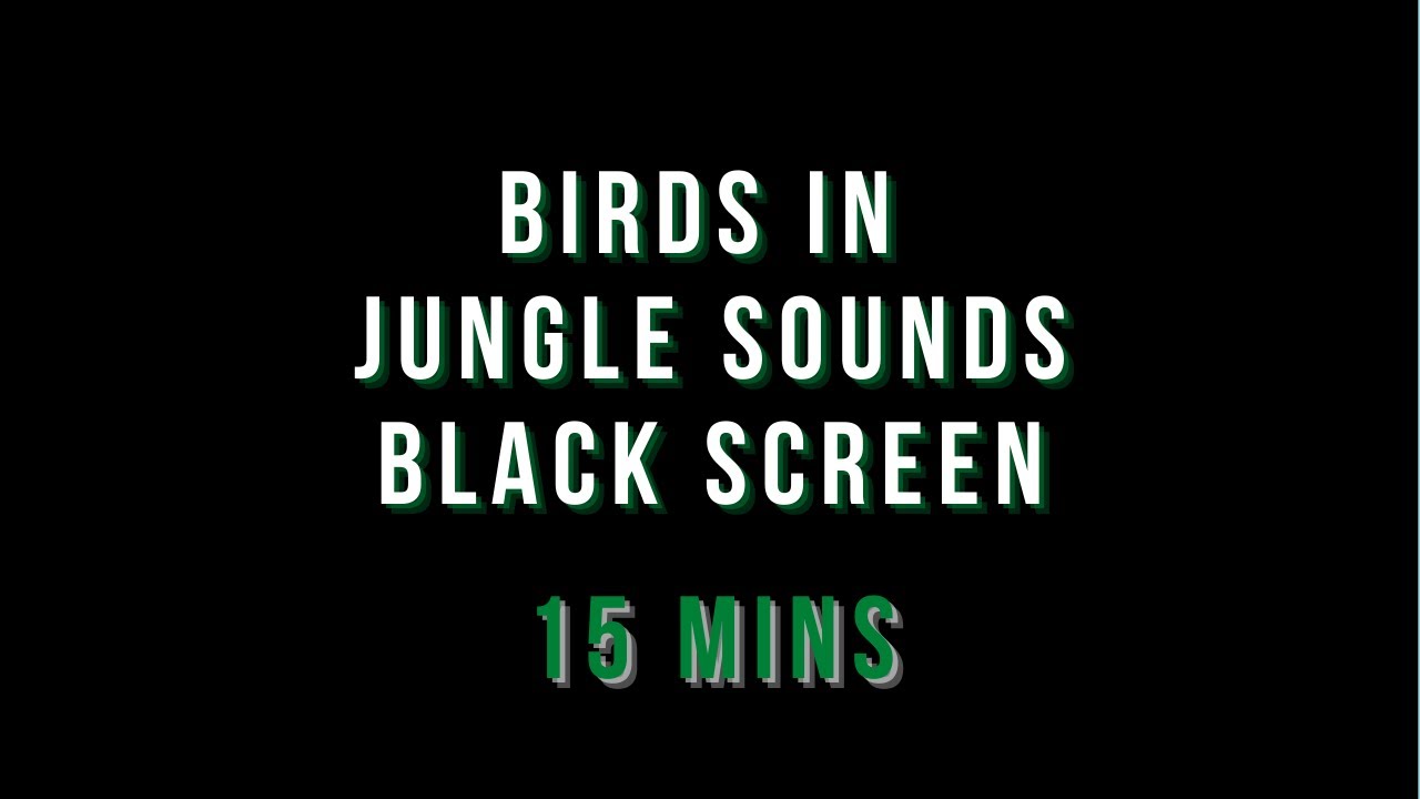 Birds Jungle Sounds Black Screen for 15 Mins Relaxing Sounds Sleep