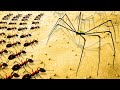 Huge ANT ARMY Defends NEW MAP From a SPIDER INVASION in this Empires of the Undergrowth Update!