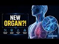 10 Mind-Blowing Facts About the Human Body You Never Knew