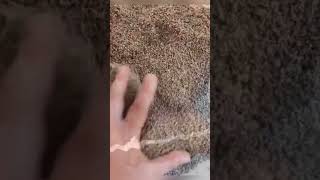 Whatsapp86152258073536285283833172 Maxrocktech.com