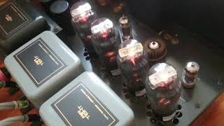 EL37 Mullard