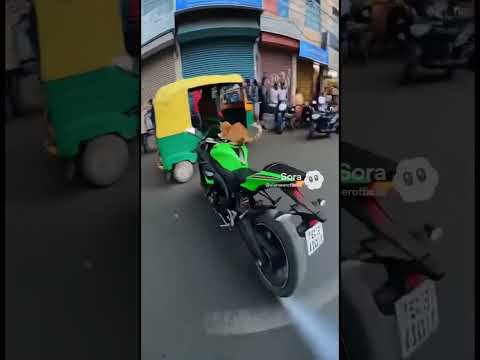 ساقة الدراجة       