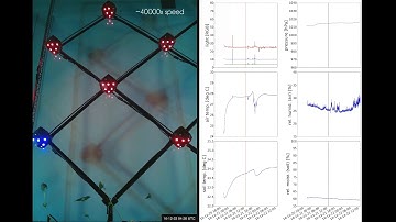Autonomously Shaping Natural Climbing Plants: A Bio-hybrid Approach