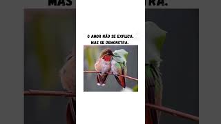 3 de outubro de 2025