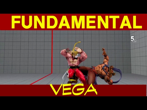Fundamental Vega