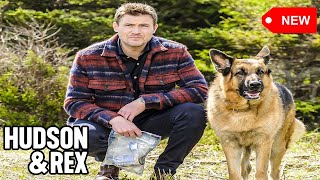 Hudson & Rex 2026 - Season 1 Ep. 8 - Hudson & Rex Full Episode