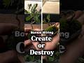 Bonsai Wiring: Create or Destroy? #BonsaiArt #BonsaiWiring #BonsaiCare #BonsaiLife #BonsaiLovers