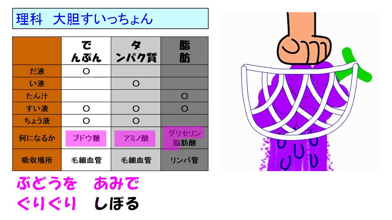 ２分で覚える ゴロ合わそんぐ 消化液の暗記 Youtube