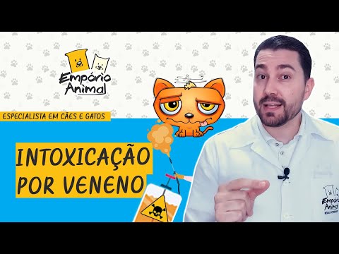 Vídeo: Toxicidade Inseticida Em Gatos