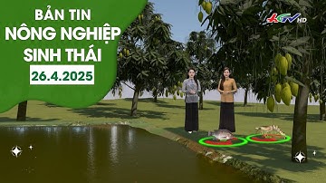 Kỳ vọng từ câu chuyện xuất khẩu cá rô phi | BẢN TIN NÔNG NGHIỆP SINH THÁI 26.4.2025