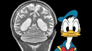 Quiz 511